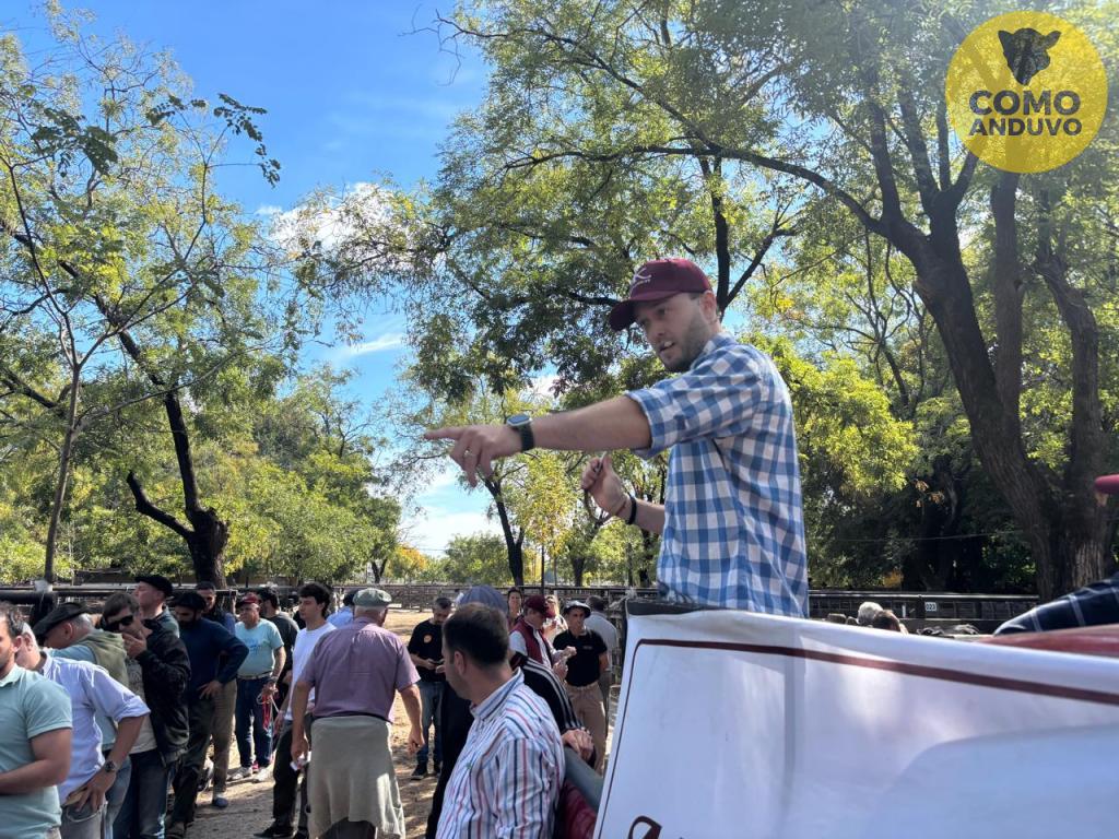 Adolfo S. Koerner y Cía